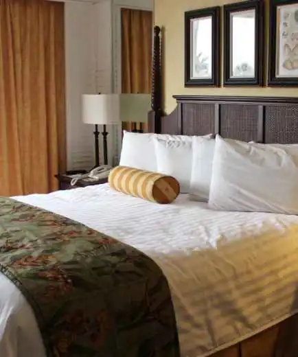 The Experts You Need For Your Cleaning Needs